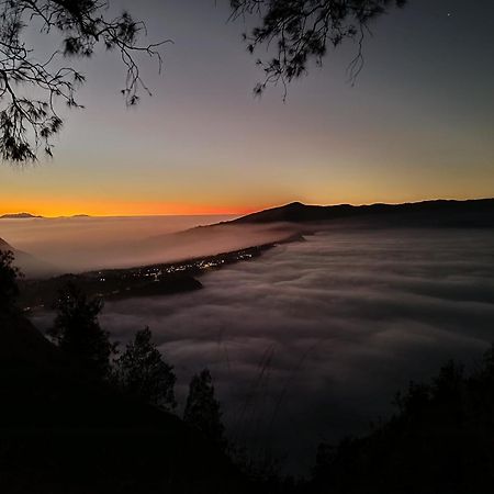 Uciek Tengger Bromo Ngadisari Dış mekan fotoğraf